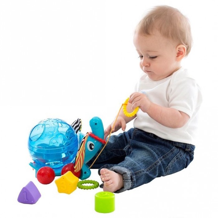 playgro elephant shape sorter